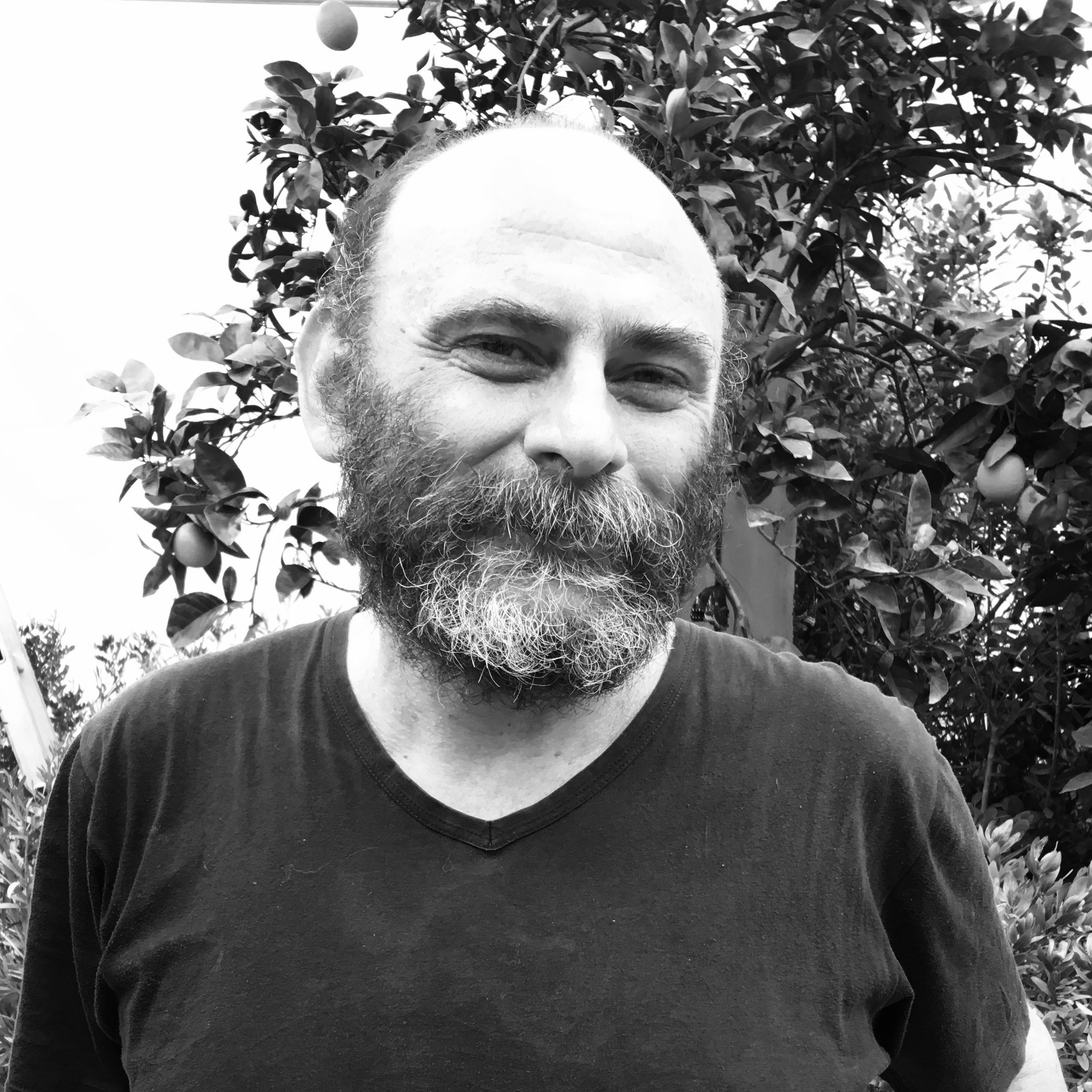 Diego Reggianti